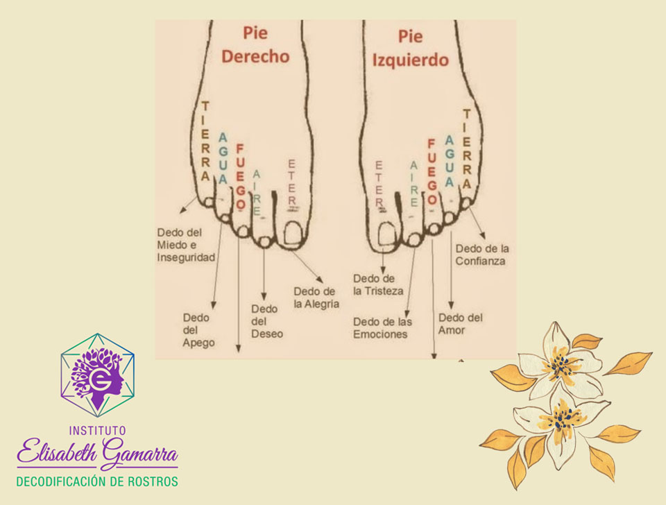 Lee más sobre el artículo La energía de los dedos de los pies